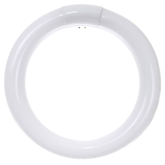 12 pack - Sunlite 05027-SU 22W T9 Circline Cool White Fluorescent