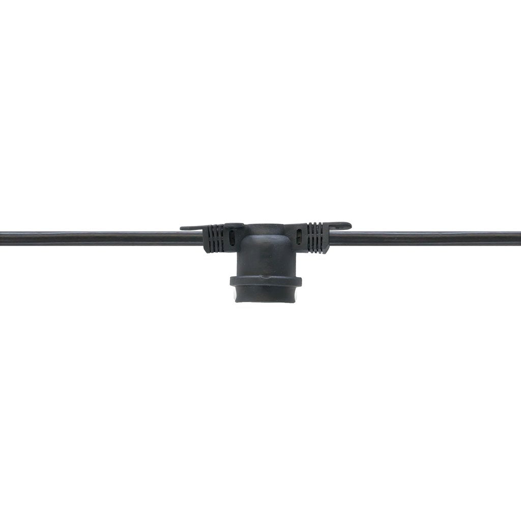 American Lighting LS-M-24-100-BK LIGHT STRING MED BASE 24IN BK 100'