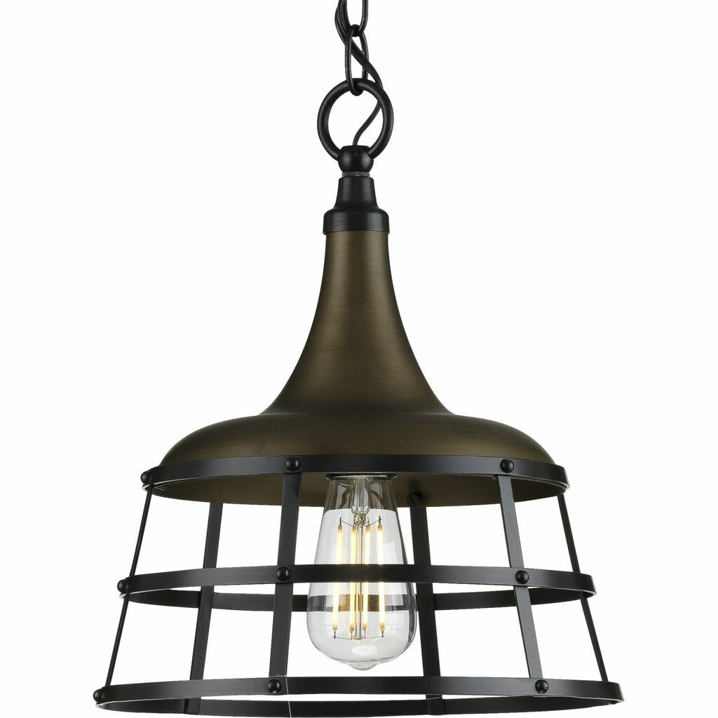 Progress Lighting P500236-161 Fixture Select a light fixture that is