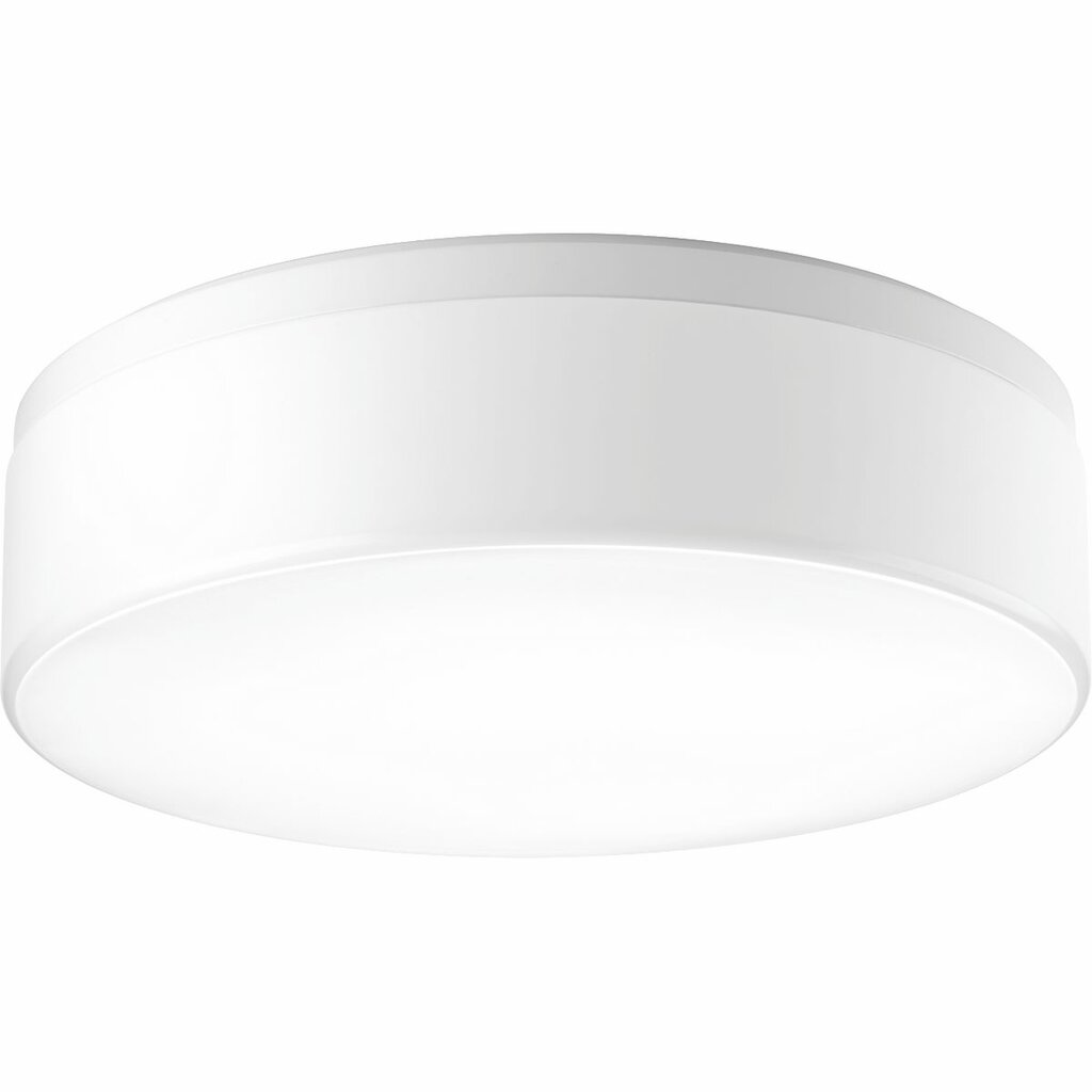 Progress Lighting P350078-030-30 28.5W LED Fixture 18 in flush mount