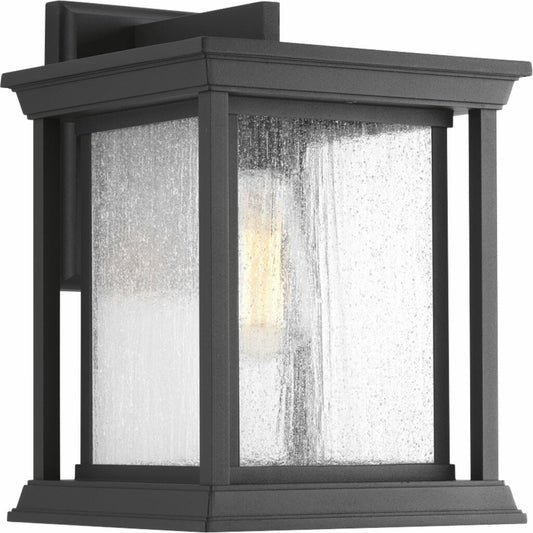 Progress Lighting P5611-31 Fixture One-Light large wall lantern with a
