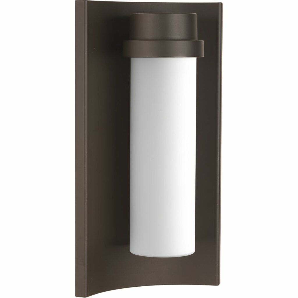Progress Lighting P560030-129-30 9W LED Fixture A modern outdoor