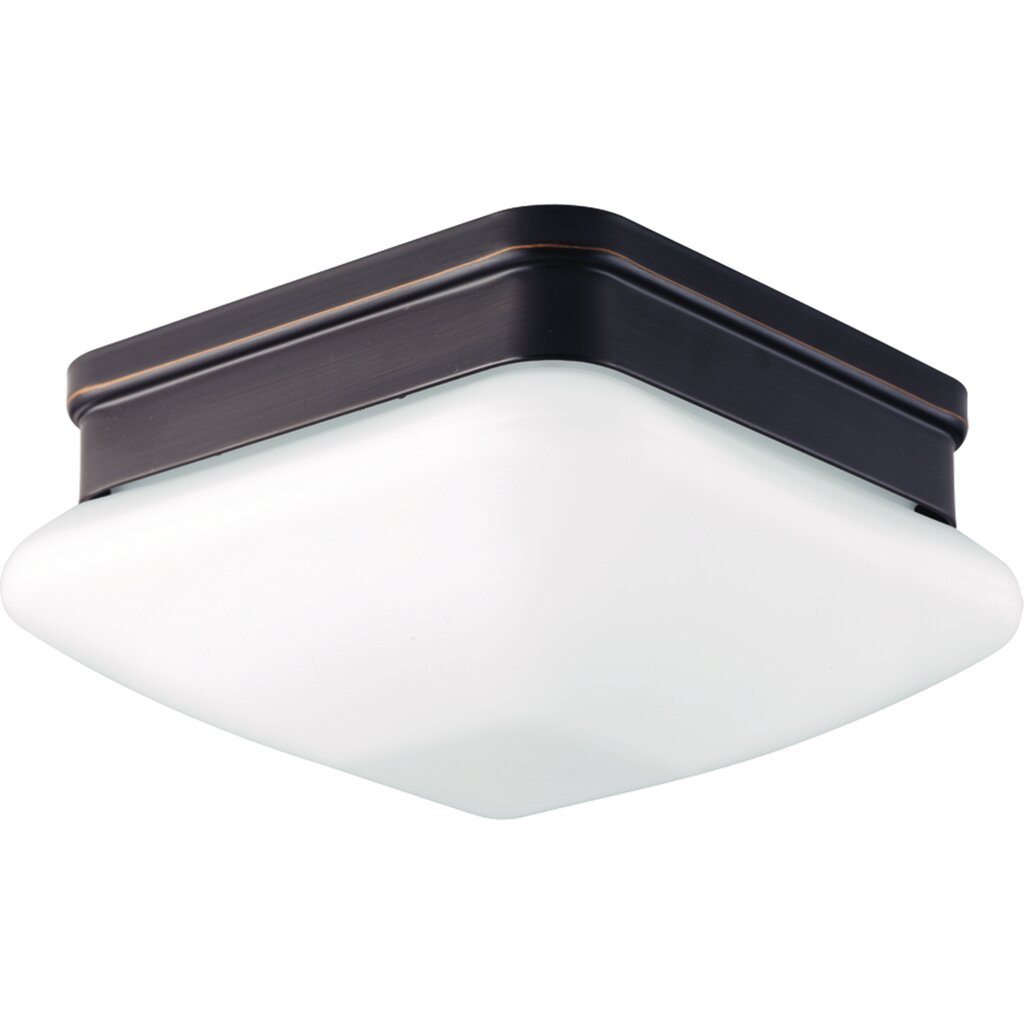 Progress Lighting P3991-20 Fixture With an elevated style the