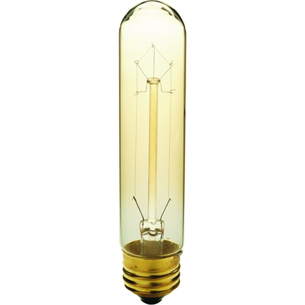 Progress Lighting P7827-01 40W A19 Amber Fluorescent Light Bulb