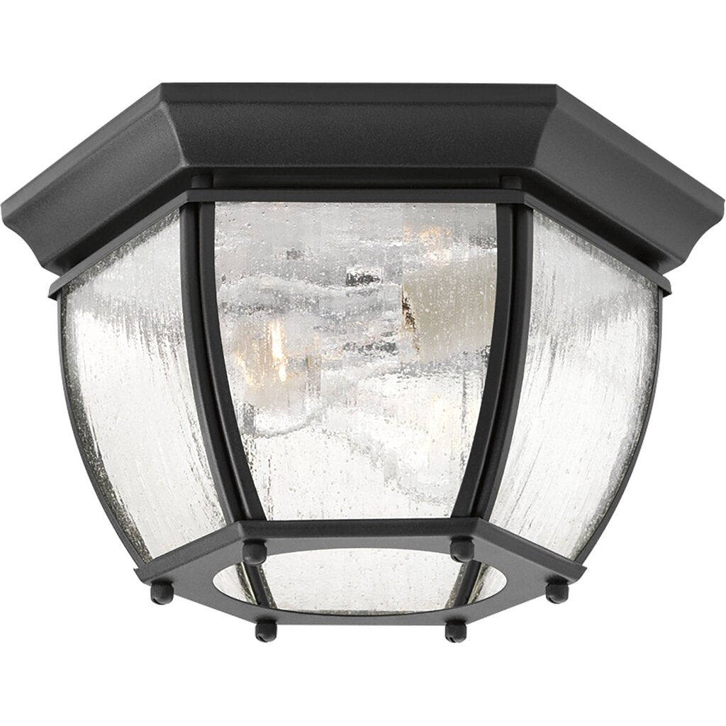 Progress Lighting P6019-31 Fixture Solid two-light flush mount in rich