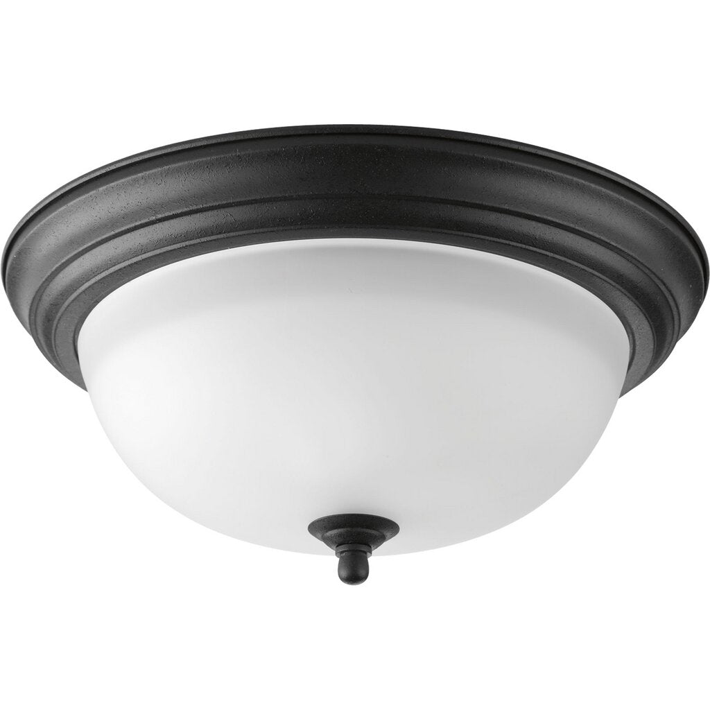 Progress Lighting P3925-80 Close-To-Ceiling Fixture Two-light flush
