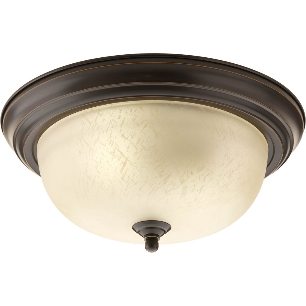 Progress Lighting P3925-20EUL Close-To-Ceiling Fixture Two-light flush