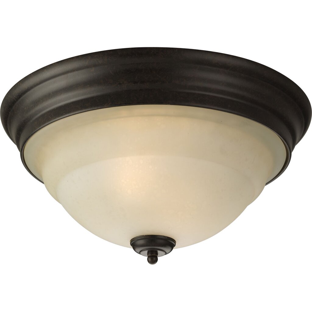 Progress Lighting P3184-77 Close-To-Ceiling Fixture Two-light