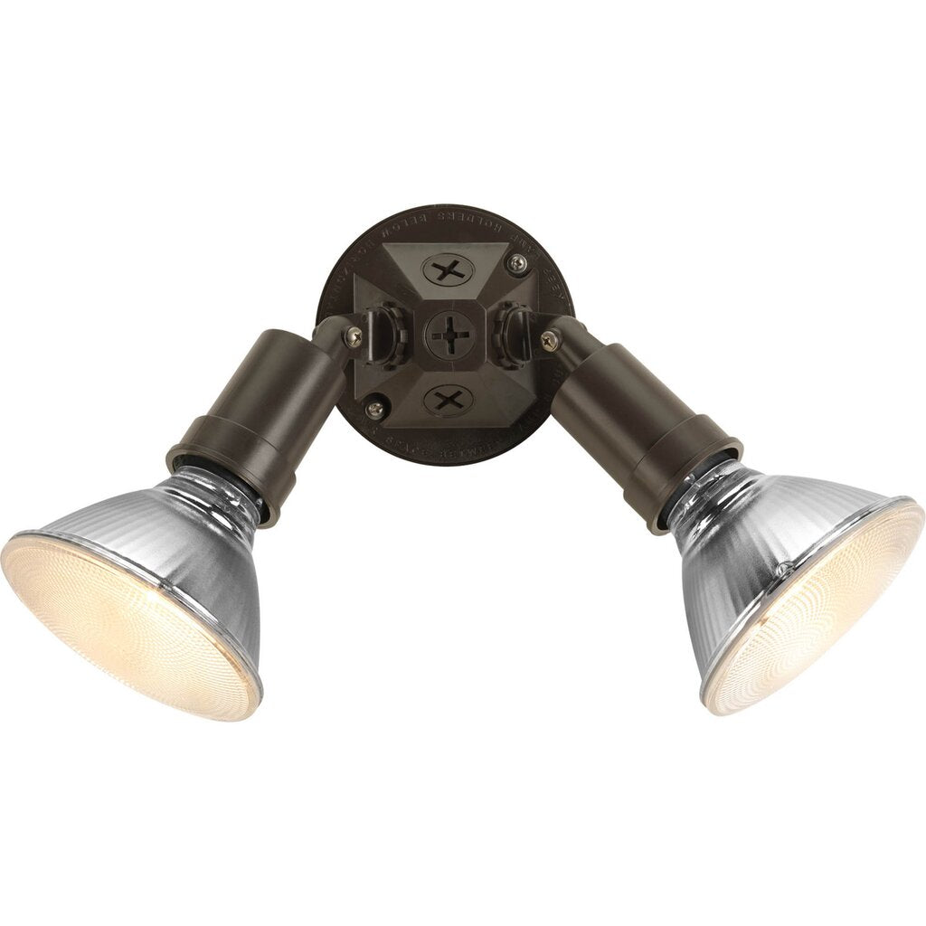 Progress Lighting P5212-20 Fixture Outdoor double headed non-metallic