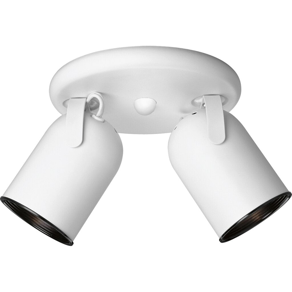Progress Lighting P6149-30 Fixture Two-light round back ceiling mount