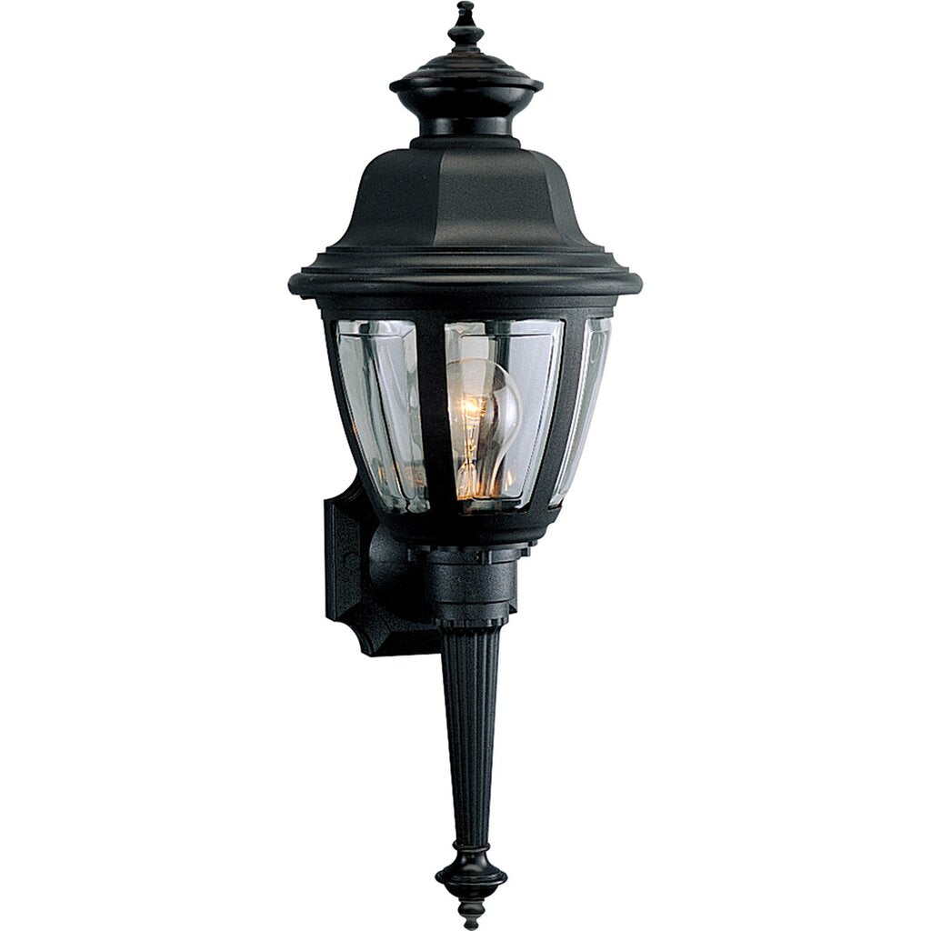 Progress Lighting P5738-31 Fixture Outdoor one-light non-metallic wall