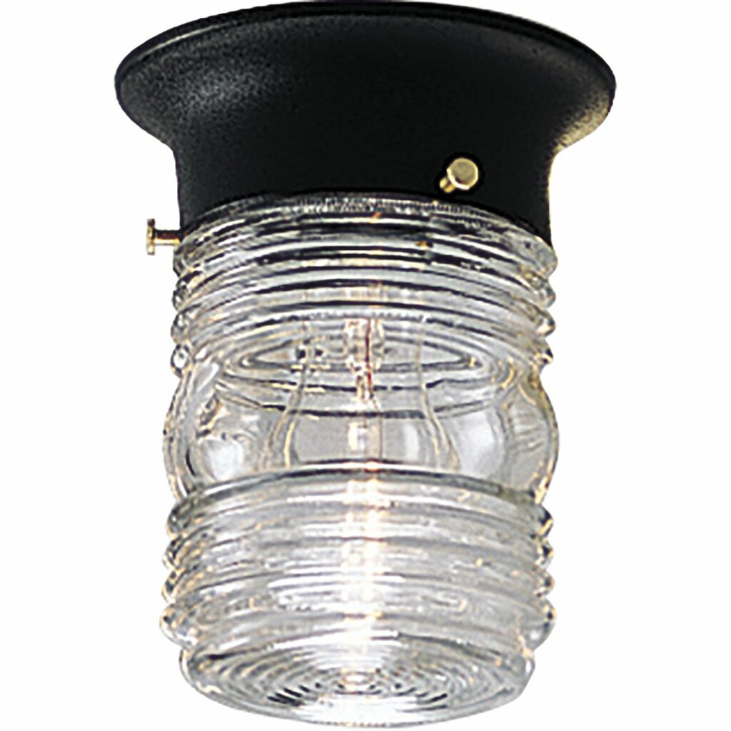 Progress Lighting P5603-31 Fixture An outdoor injelly jar in utility
