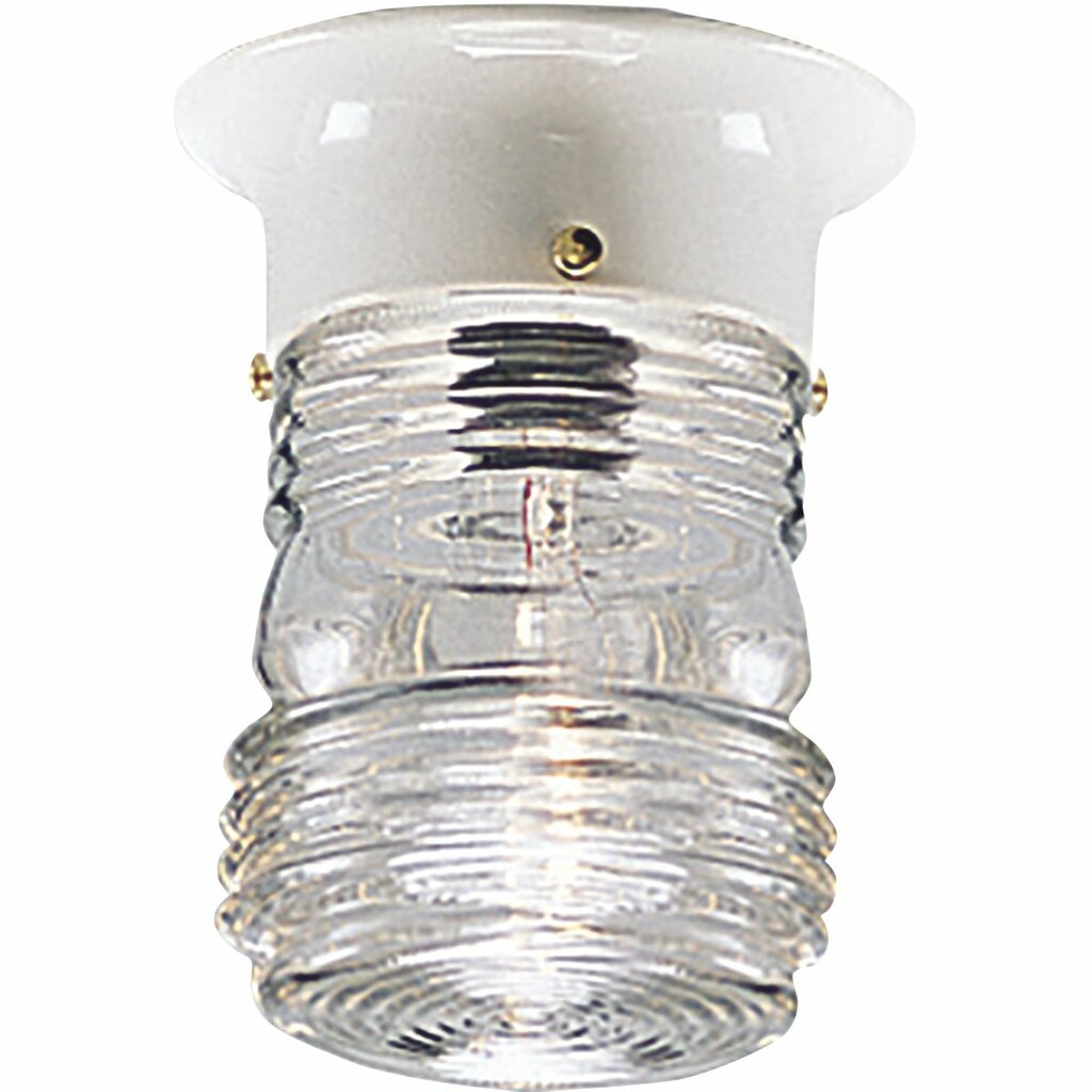 Progress Lighting P5603-30 Fixture An outdoor injelly jar in utility