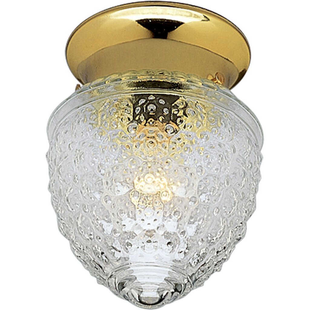 Progress Lighting P3750-10 Close-To-Ceiling Fixture One-light