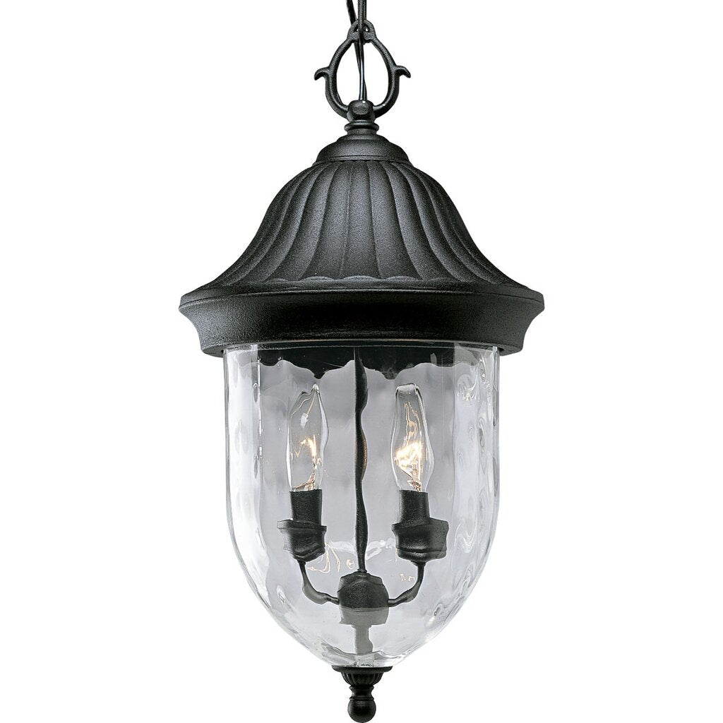 Progress Lighting P5529-31 Fixture Capture the romance with this