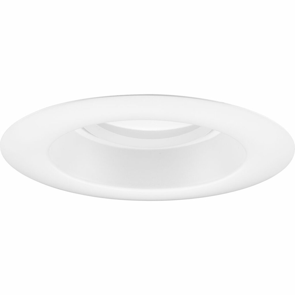 Progress Lighting P800018-028-CS Fixture Elevate any room's design