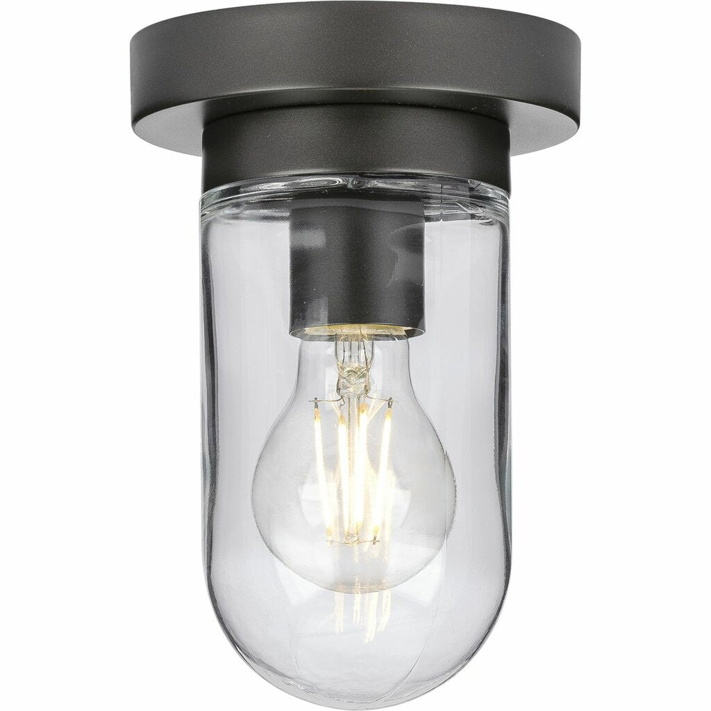 Progress Lighting P350145-143 Fixture A clear blown glass shade paired