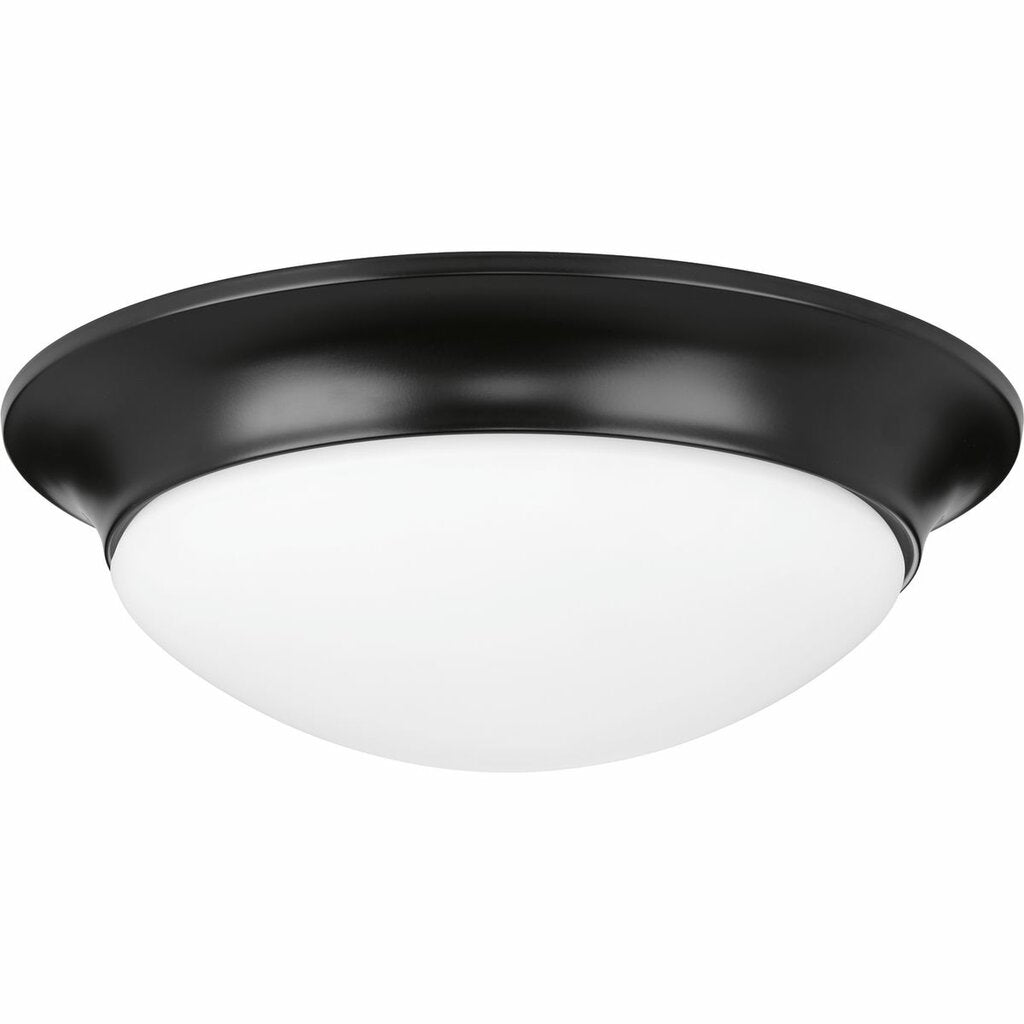 Progress Lighting P350147-031 Fixture A bold Black-finished frame adds