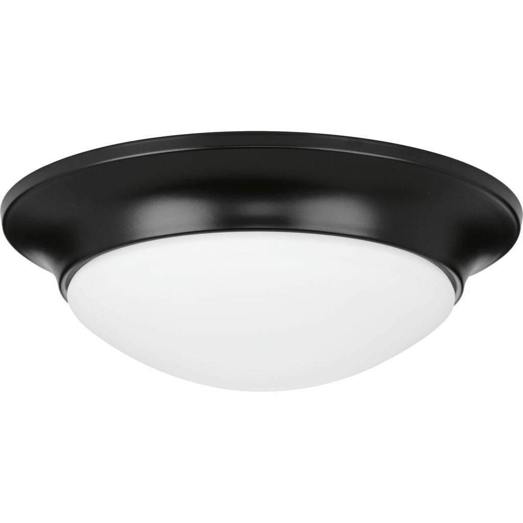 Progress Lighting P350146-031 Fixture Stylish simplicity and function