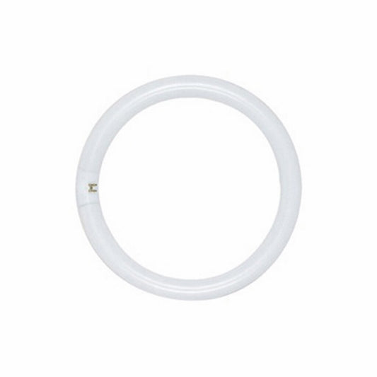 Satco S6507 30W T9 Circline Fluorescent Light Bulb