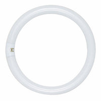 Satco S6505 32W T9 Circline Fluorescent Light Bulb