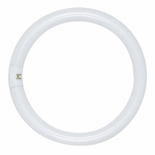Satco S6500 22W T9 Circline Fluorescent Light Bulb