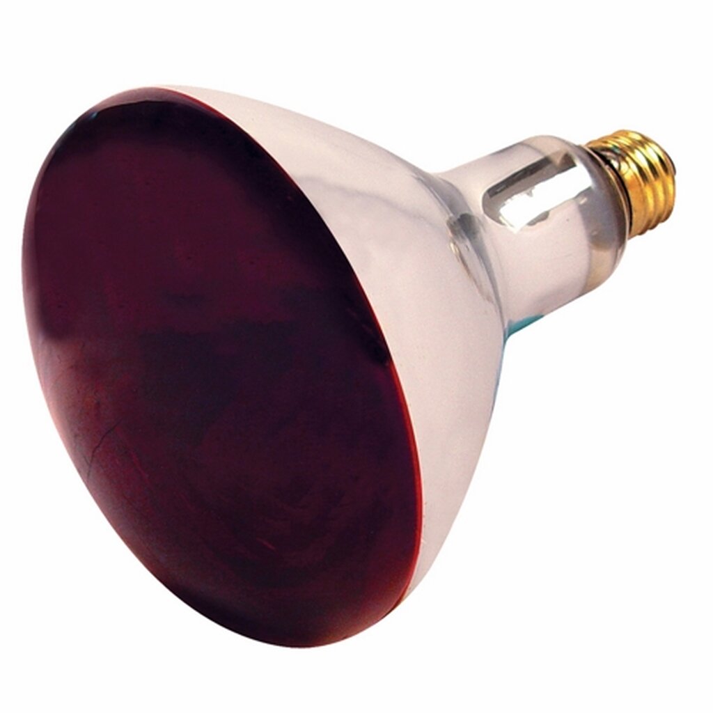 Satco S4998 250W R40 Red Incandescent Light Bulb