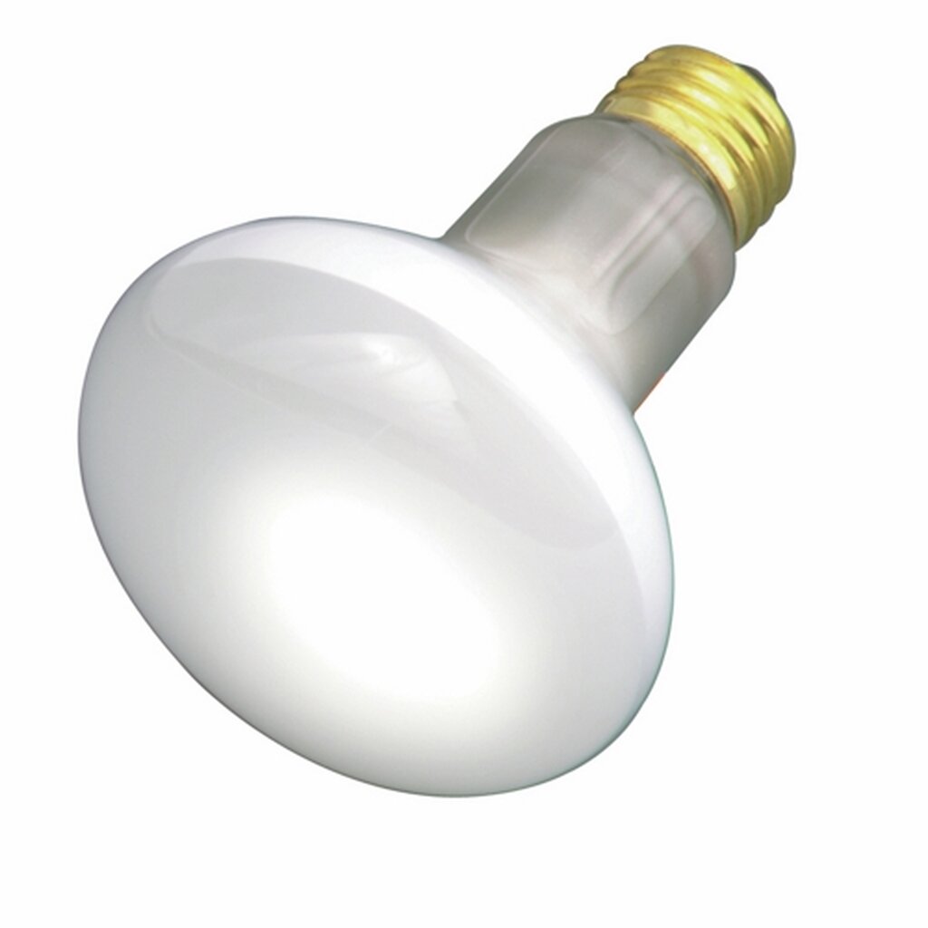 12 pack - Satco S2810 30W R20 Warm White Incandescent Light Bulb
