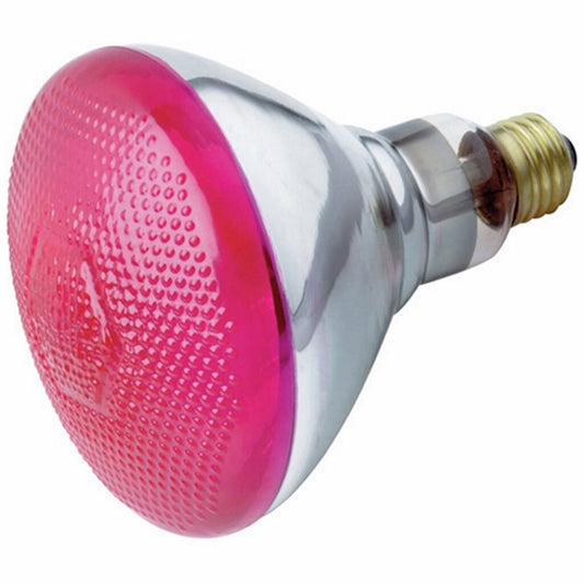 Satco S4429 100W BR38 Light Bulb