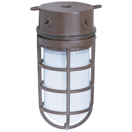 Satco 76/625 Fixture 1 Light - 10 Industrial Style Surface Mount