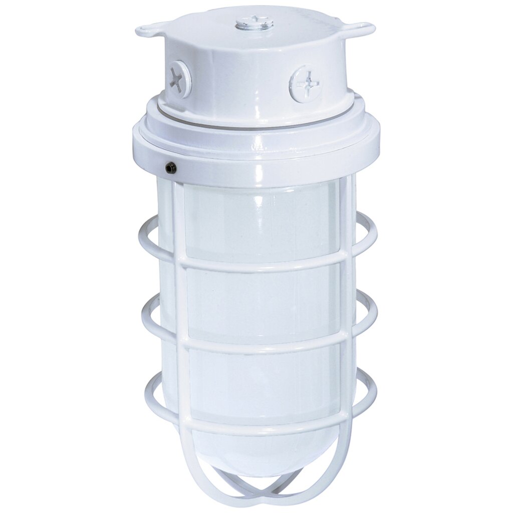 Satco 76/618 Fixture 1 Light - 11 Industrial Style Surface Mount