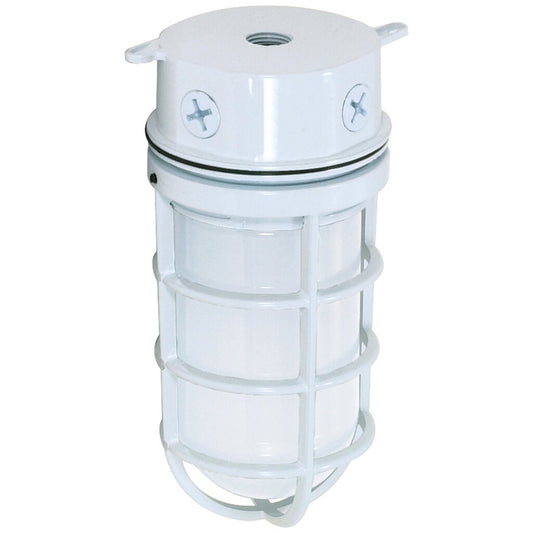Satco 76/616 Fixture 1 Light - 11 Industrial Style Surface Mount