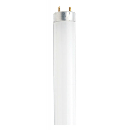 25 pack - Satco S26519 T8 Fluorescent Light Bulb
