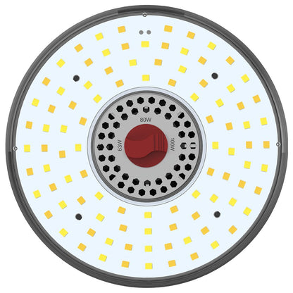 Satco S23144 63W/80W/100W LED Light Bulb