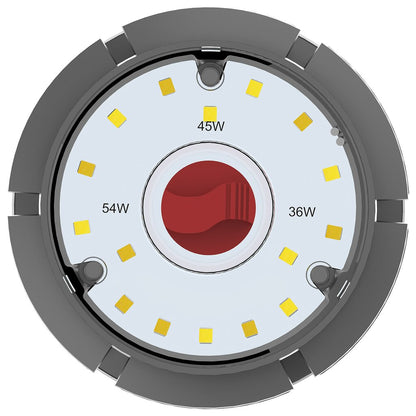 Satco S23142 36W/45W/54W LED Light Bulb