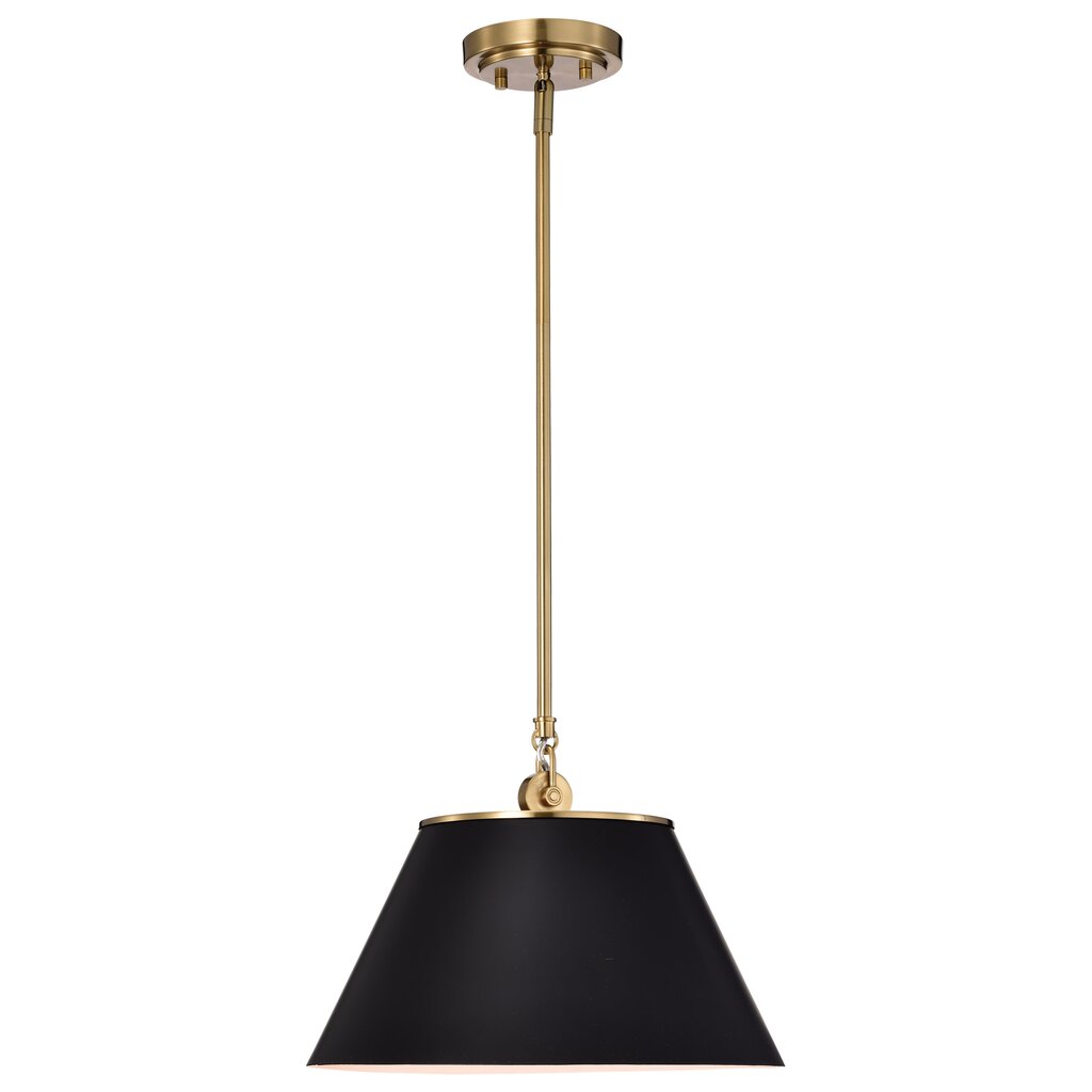 Satco 60-7411 Pendant Fixture Dover; 1 Light; Medium Black with
