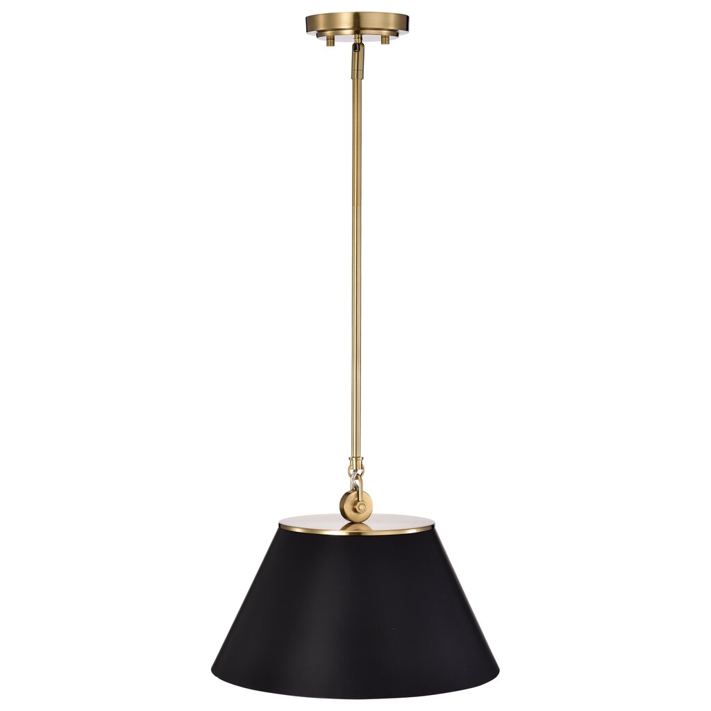 Satco 60-7411 Pendant Fixture Dover; 1 Light; Medium Black with