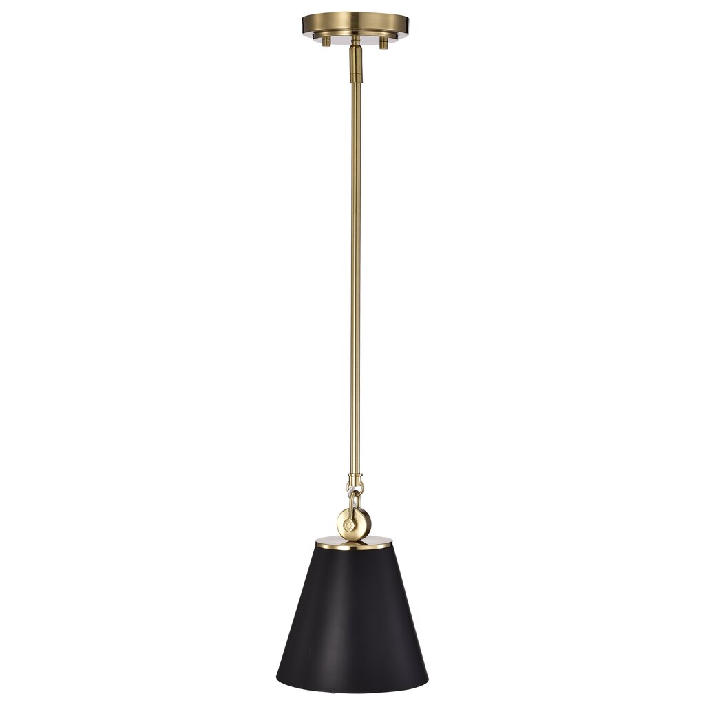 Satco 60-7408 Pendant Fixture Dover; 1 Light; Small Black with Vintage