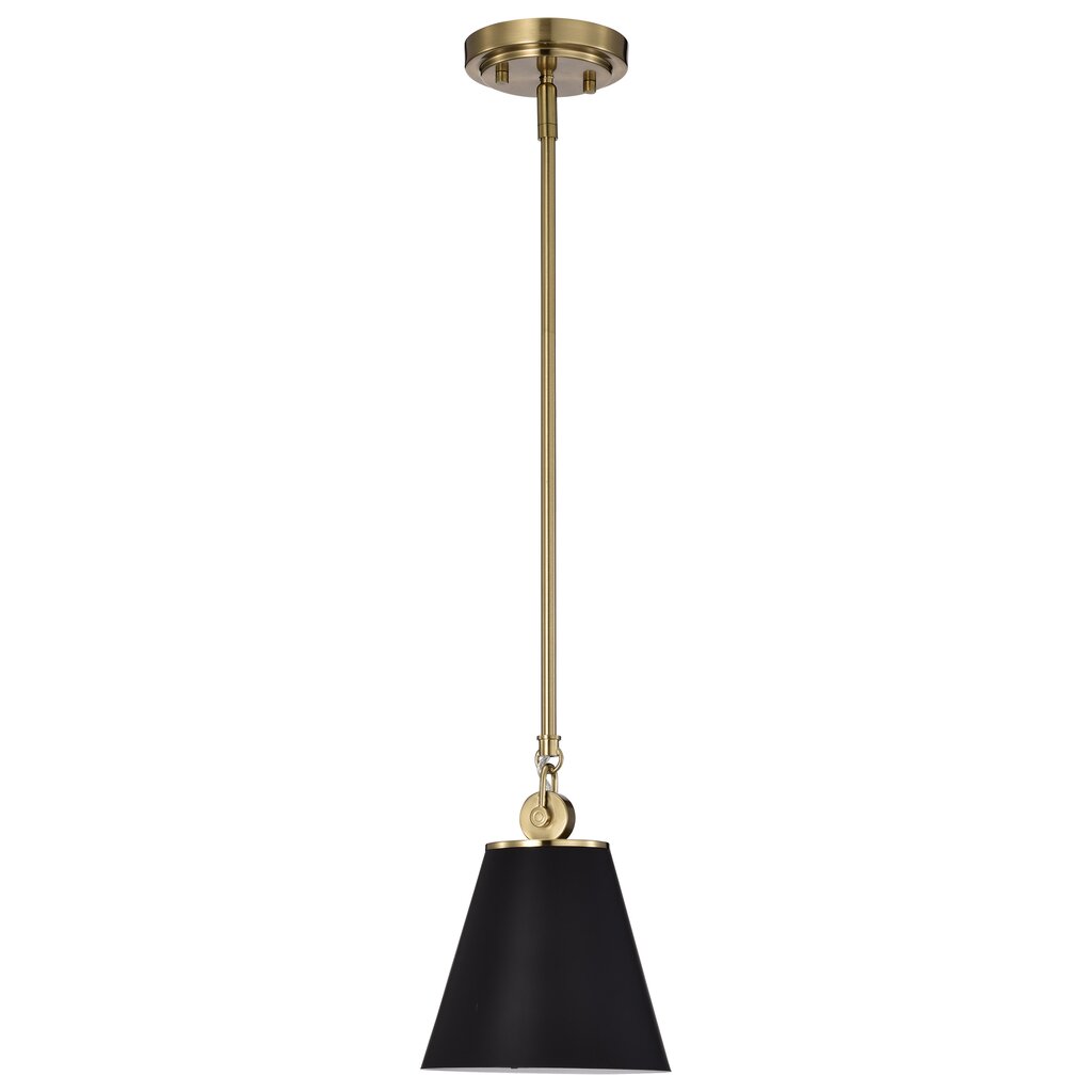 Satco 60-7408 Pendant Fixture Dover; 1 Light; Small Black with Vintage