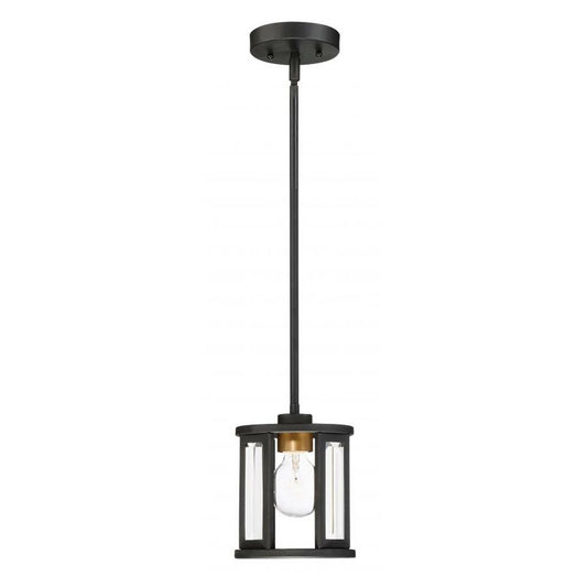 Satco 60-6412 Mini Pendant Fixture Payne; 1 Light; with Clear Beveled