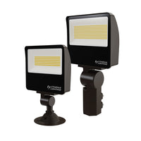 Lithonia ESXF2 ALO SWW2 KY DDB M2 LED Flood Light Fixture The Lighting
