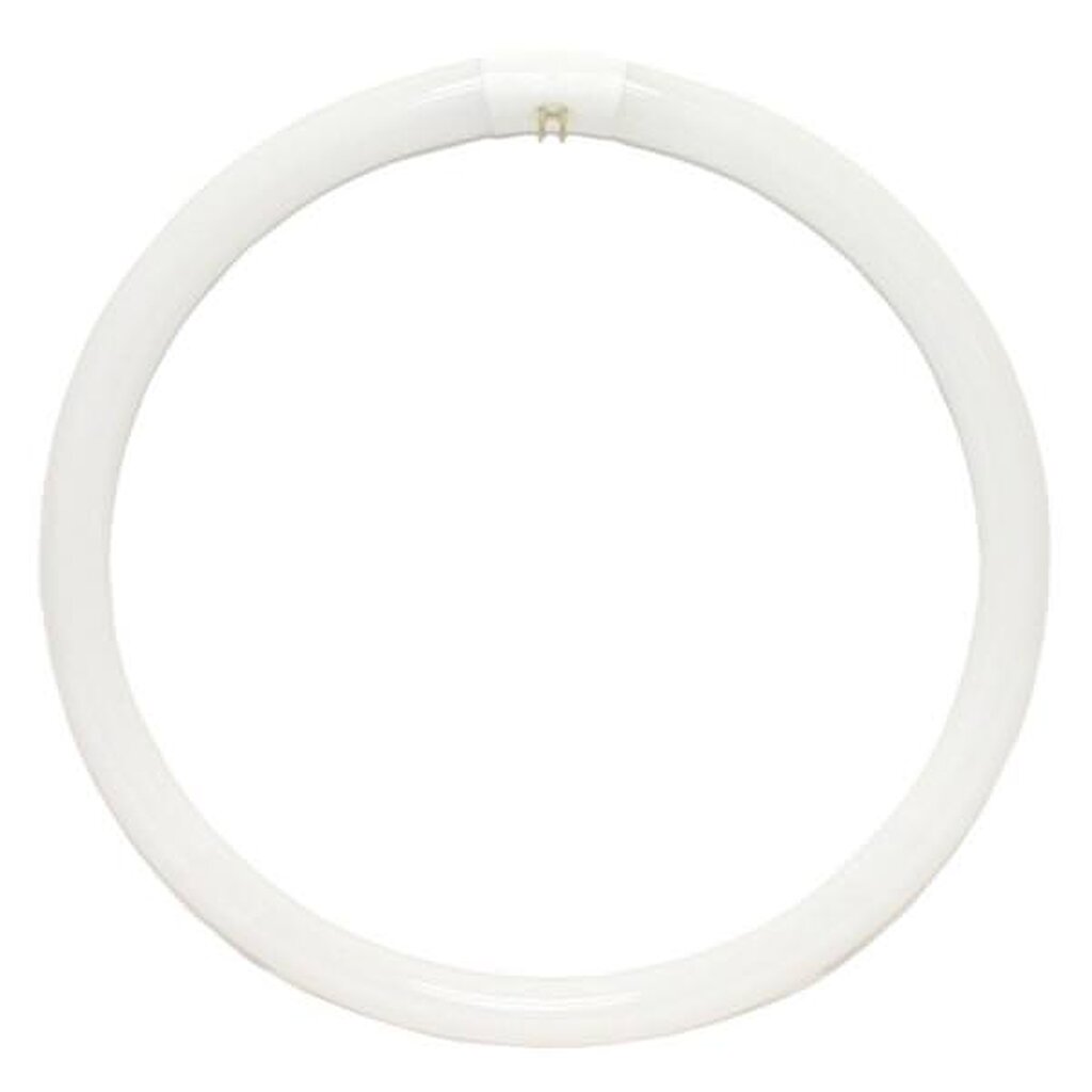 Westinghouse 0603000 4W T9 Circline Fluorescent Light Bulb