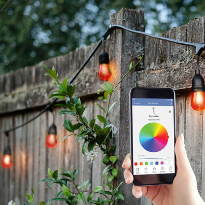 Feit Electric SL24-12/RGBW/AG String LED 24-foot Smart Light