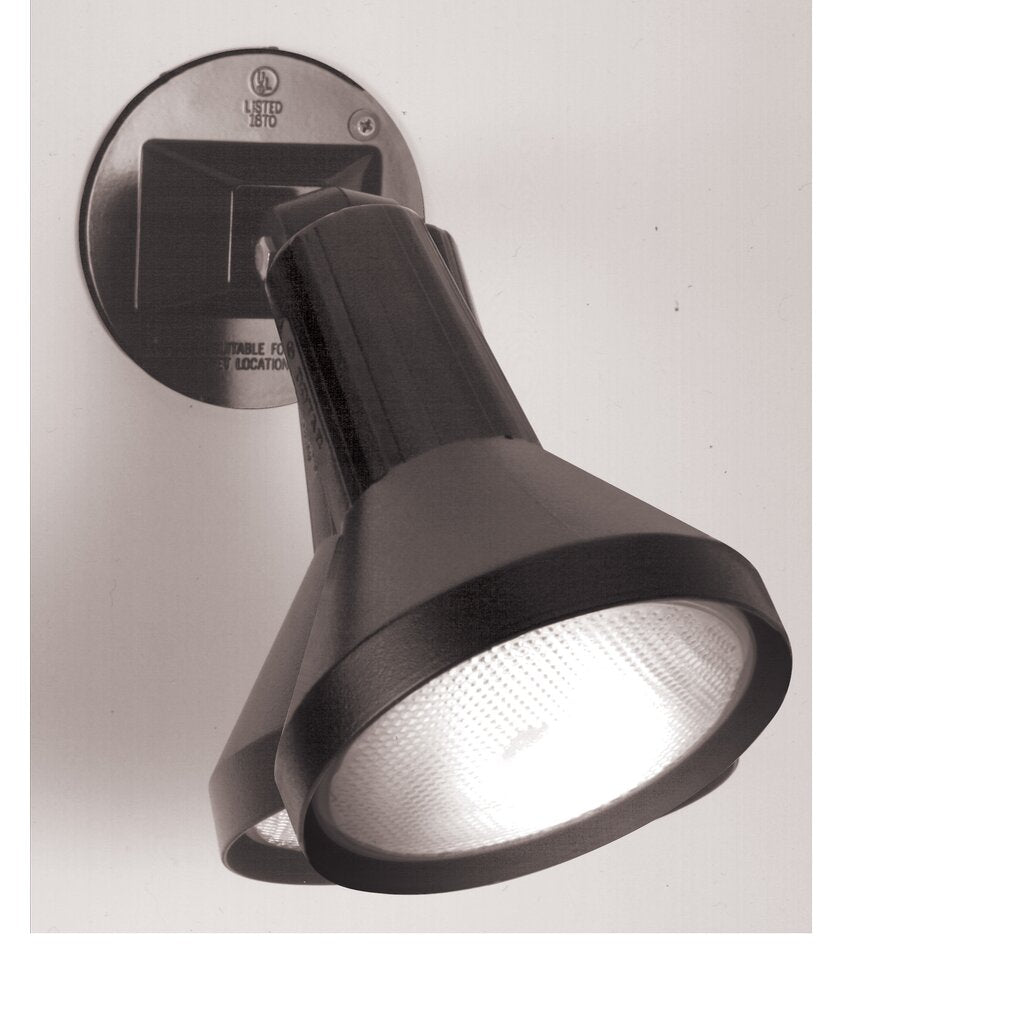Satco SF77-700 Flood Light Fixture 1 Light - 8" PAR38 with Adjustable