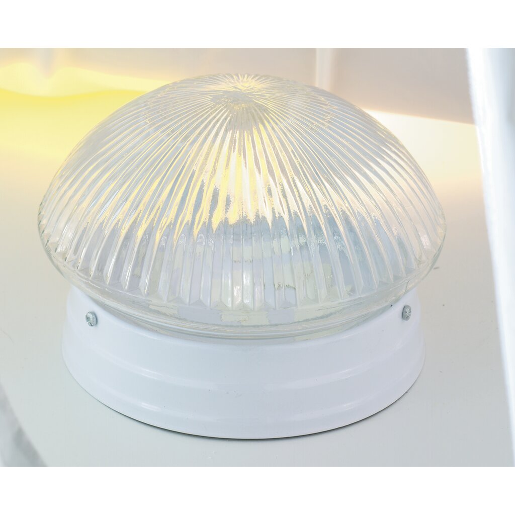 Satco SF76-253 Flush Mount Fixture 2 Light - 10" Flush with Clear