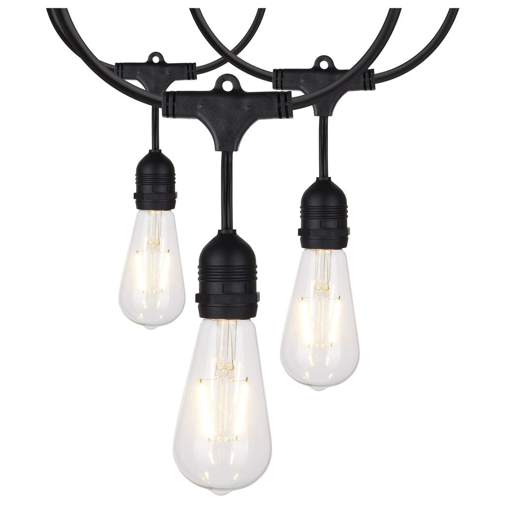 Satco S8036 24W LED String Light Fixture 24Ft; 12 Vintage ST19 bulbs