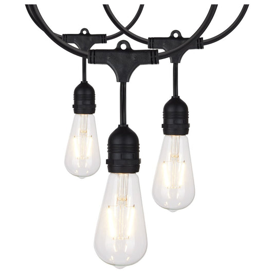 Satco S8036 24W LED String Light Fixture 24Ft; 12 Vintage ST19 bulbs