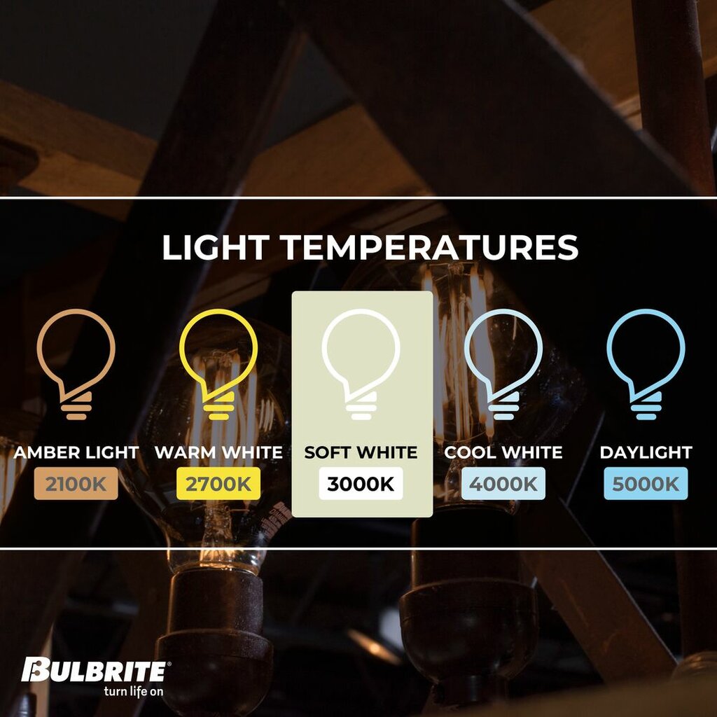 4 pack - Bulbrite 862851 13W G25 Soft White Light Bulb