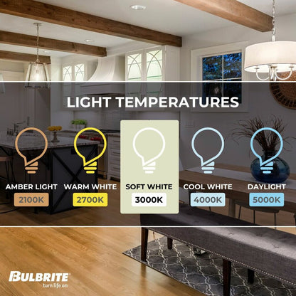 4 pack - Bulbrite 862849 13W ST18 Soft White Light Bulb