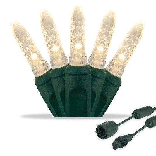 LED LED X2 MINI 25 WW 061 LED String 2.4W 12.5ft String 120V (POWER